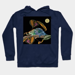 Chameleon Hoodie